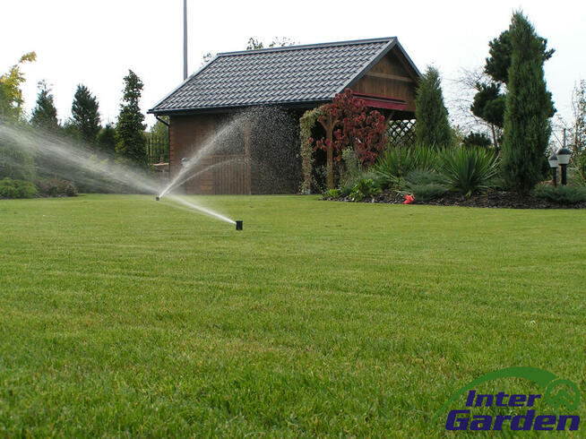 Prace, usługi w ogrodzie, na działce, trawnik, zieleń