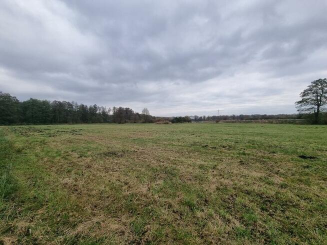 DZIAŁKI Z PRYWATNĄ PLAŻĄ NAD J. CICHOWO!! POLECAM