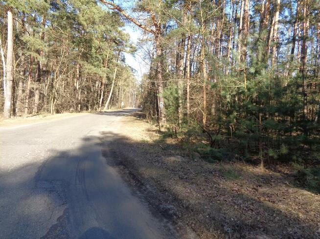 Ślesin – Działka Leśna