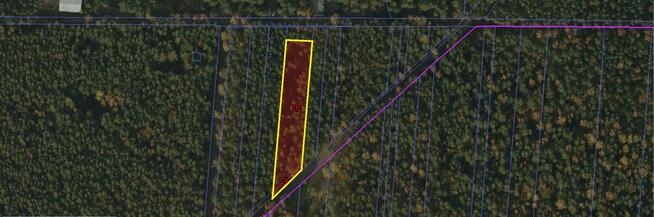 Ślesin – Działka Leśna