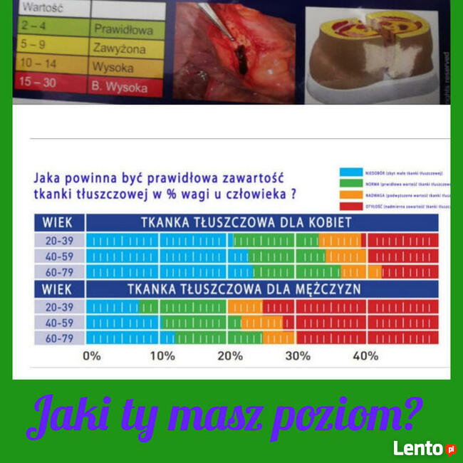 Holistyczna Klinika Zdrowia. Studio Masażu Rafael. Zdrowie i