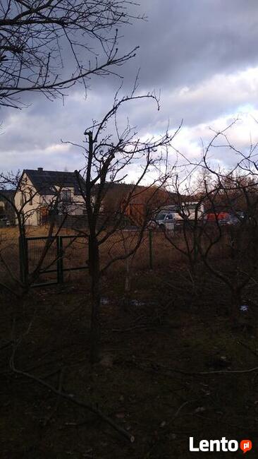 CIĘCIA, prześwietlające, sanitarne DRZEW owocowych SADÓW