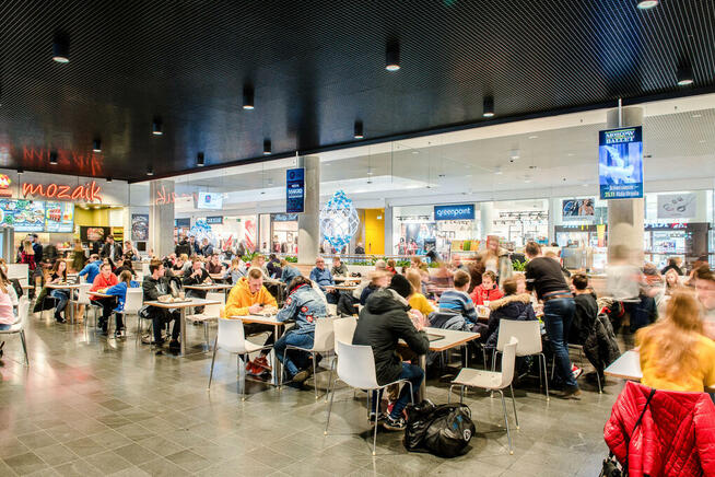 Przedstawiciel handlowy Olsztyn