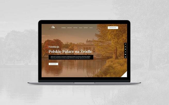 Tania strona www dla NGO, strona internetowa dla fundacji