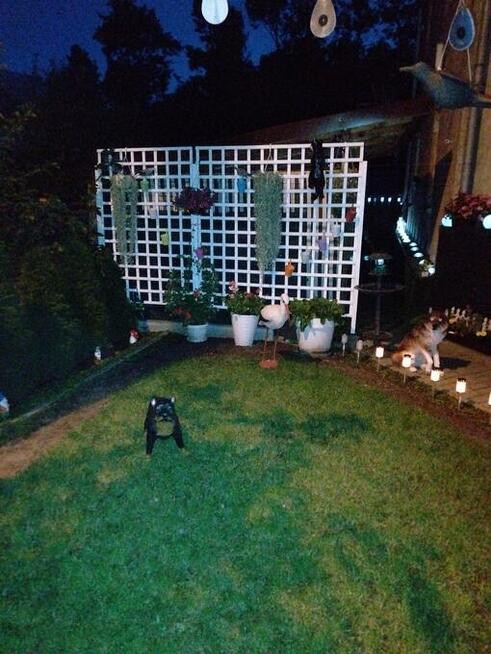 WYPOCZYNEK NAD MORZEM - STEGNA