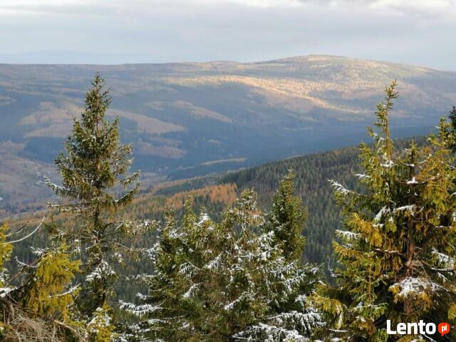 Agroturystyka Wolimierz - PrzyStawach