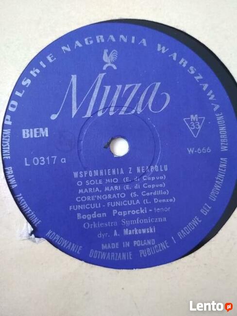 Płyty winylowe. Znani wykonawcy. Perły lat 60, 70 i 80!