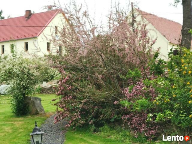 Agroturystyka Wolimierz - PrzyStawach