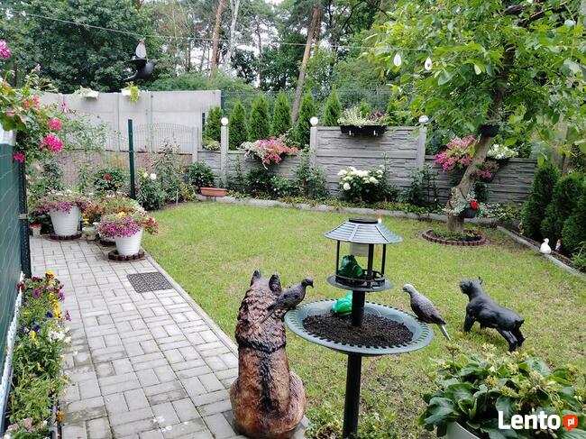 URLOP NAD MORZEM W STEGNIE