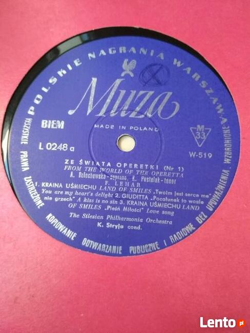 Płyty winylowe. Znani wykonawcy. Perły lat 60, 70 i 80!