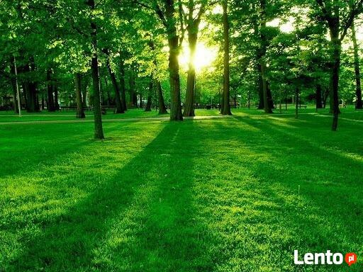 Glebogryzarka separacyjna , ,zakładanie trawników