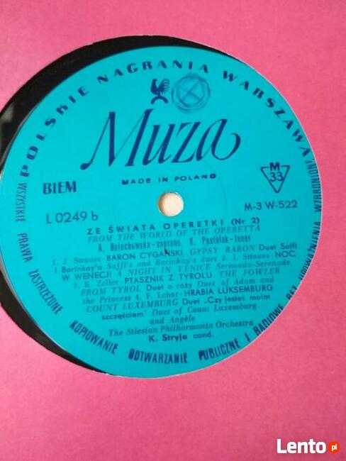 Płyty winylowe. Znani wykonawcy. Perły lat 60, 70 i 80!