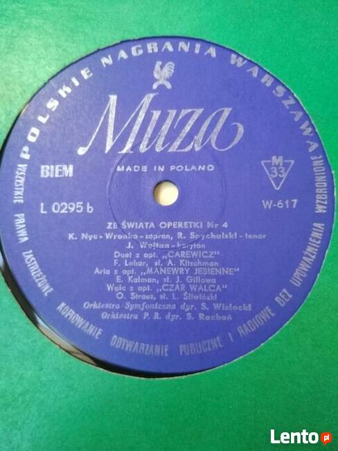 Płyty winylowe. Znani wykonawcy. Perły lat 60, 70 i 80!