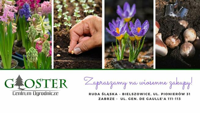 Obornik Naturalny Bydlęcy, Świeży Nawóz, Użyźniacz Mineralny