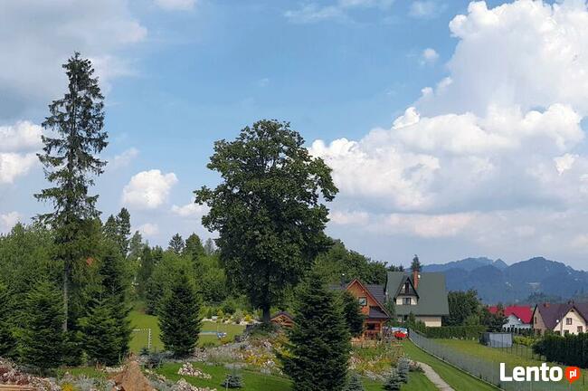 Domki do wynajęcia w Górach. Czorsztyn domki nad Jeziorem