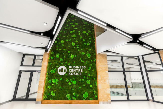 Płyty płytki na ścianę elewację fasadę piaskowiec