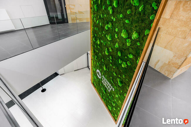 Płyty płytki na ścianę elewację fasadę piaskowiec