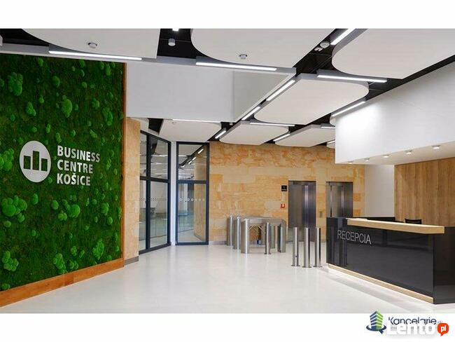 Płyty płytki na ścianę elewację fasadę piaskowiec