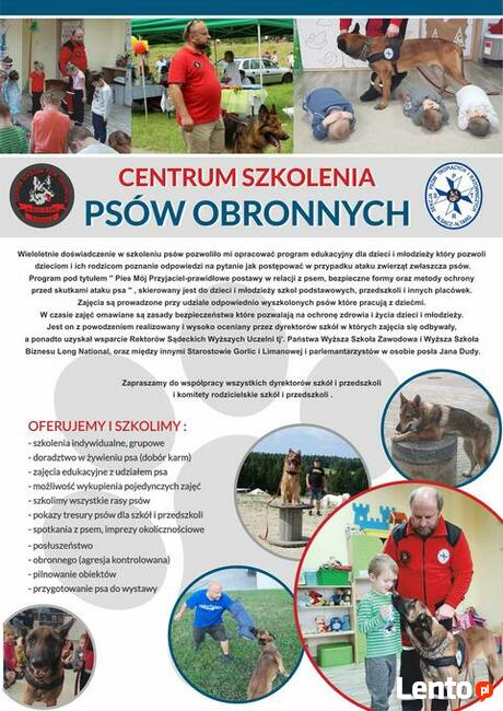 Szkolenie psów