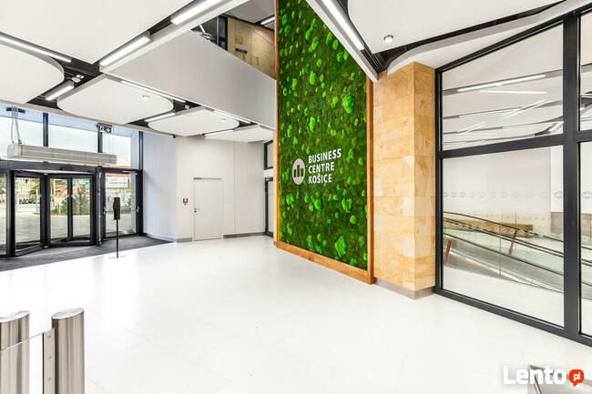 Płyty płytki na ścianę elewację fasadę piaskowiec