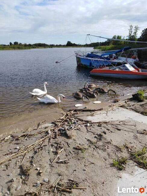 wynajem domkow na mazurach przy szlaku wjm