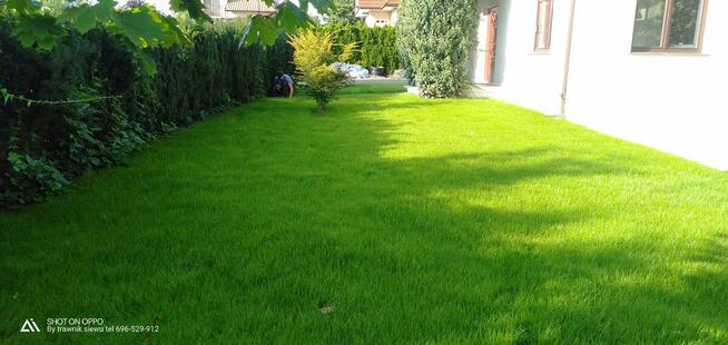 Trawnik pielęgnacja ogrodu