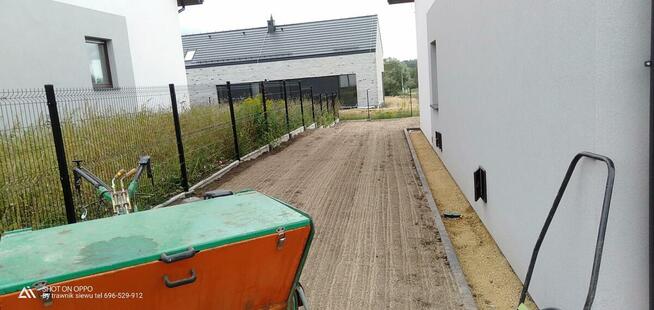 Trawnik pielęgnacja ogrodu