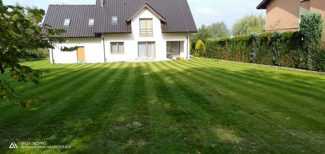 Trawnik pielęgnacja ogrodu