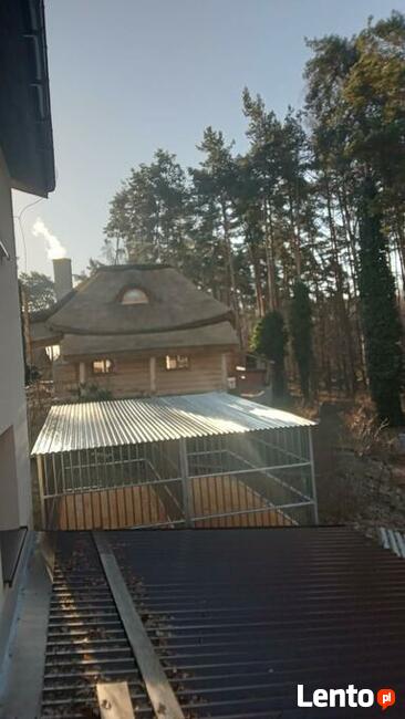 Kojec dla psa- różne wymiary