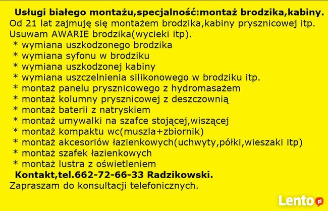 BRODZIK - usuwanie wycieków, montaż kabiny prysznicowej.