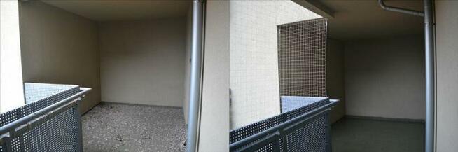 Sprzątenie po gołębiach, usuwanie ptasich odchodów