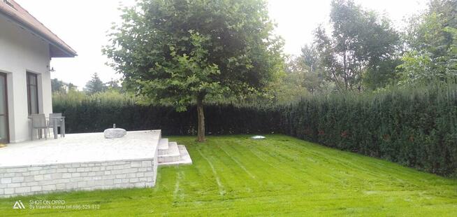 Trawnik pielęgnacja ogrodu