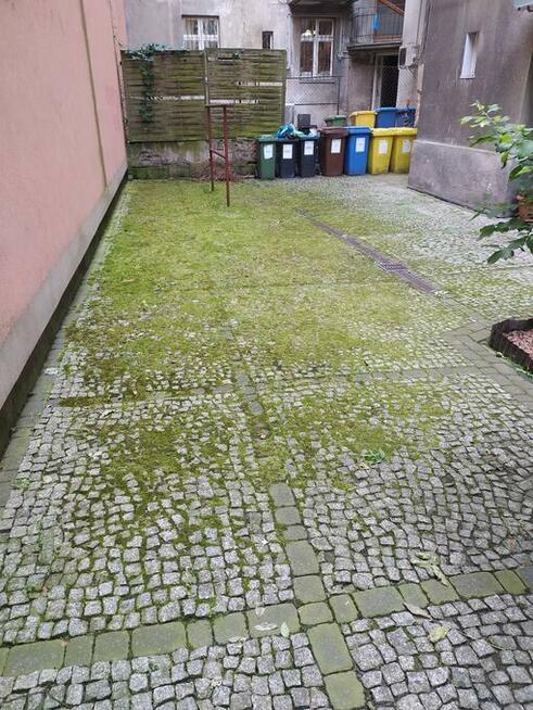 Czyszczenie kostki brukowej, fugi przeciw chwastom