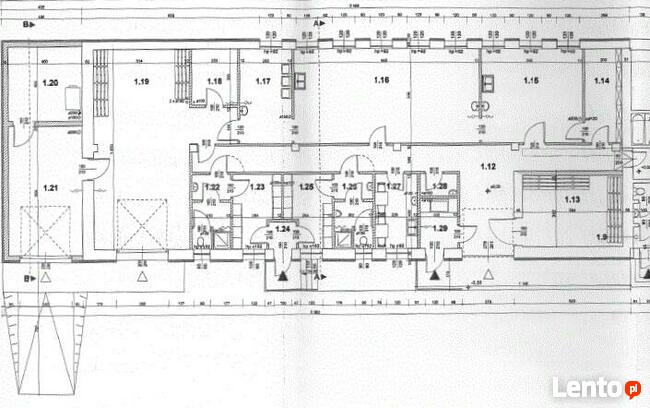 Raciborowice budynki produkcyjne JESZCZE NIŻSZA CENA
