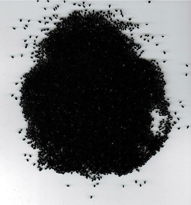 OSTROPEST, Len, czarnuszka, słonecznik, konopia, dynia,