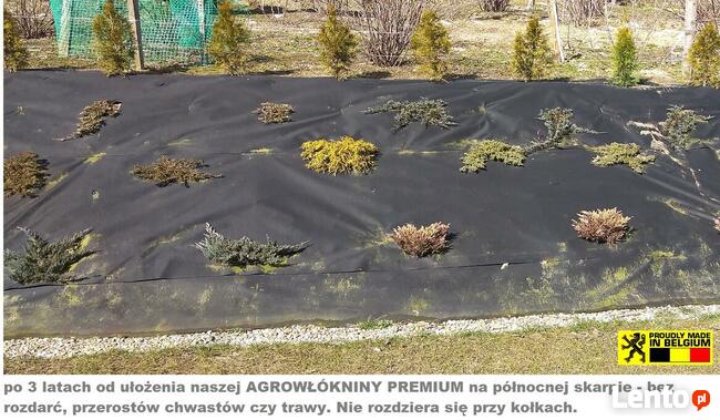 AGROWŁÓKNINA PREMIUM 250g 1, 1m 10lat na Chwasty Skarpy Igla