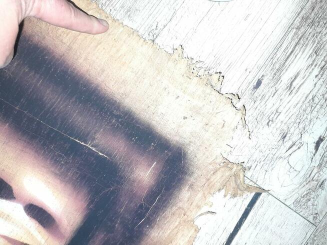 Oryginalny MEGA WIELKI PAPIRUS 194/92 cm