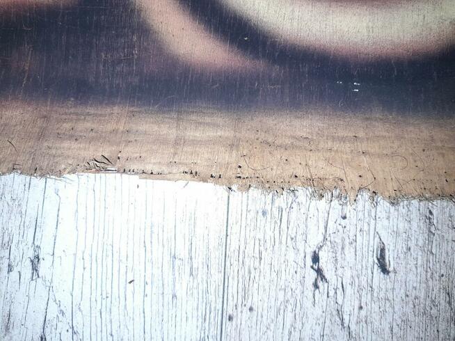 Oryginalny MEGA WIELKI PAPIRUS 194/92 cm