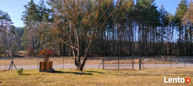 Domek do wynajęcia, domek letniskowy, domek na wsi, Podlasie