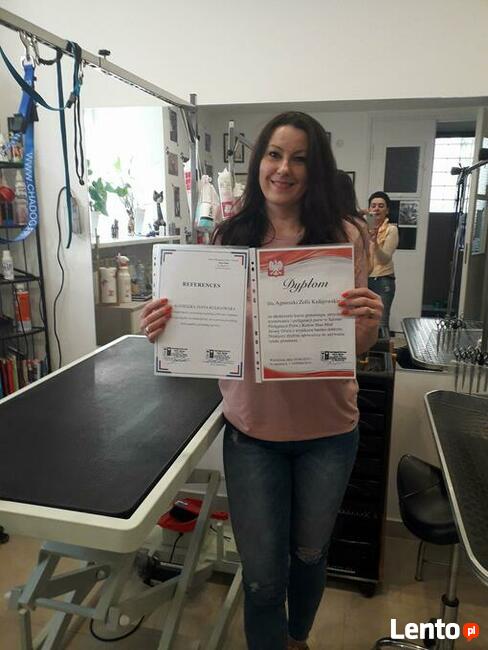 Kurs Groomingu-strzyżenie psów Zapraszamy Salon Hau-Miał