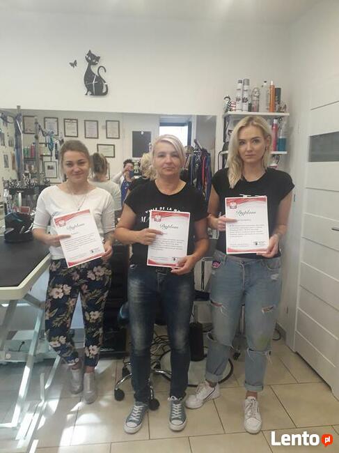Kurs Groomingu-strzyżenie psów Zapraszamy Salon Hau-Miał