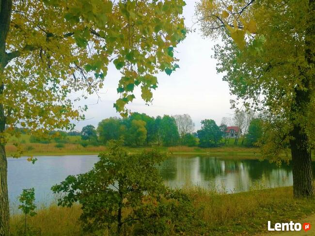 Działki dla osób chcących uciec od miejskiego zgiełku