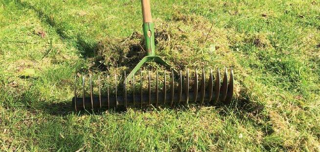 Renowacja trawników