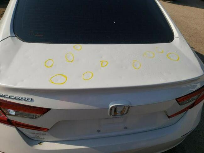 Honda Accord 2018, 1.5L, LX, po gradobiciu