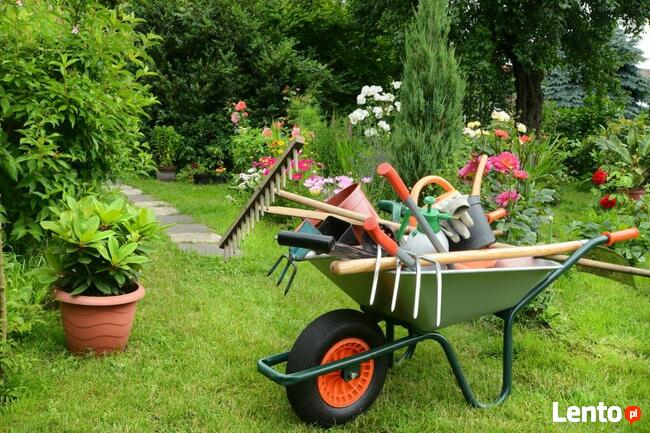 Ogrodnik, kompleksowo z doświadczeniem!