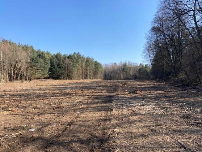 Kopark-Mulczer leśny-wycinka - przygotowanie pod siew-