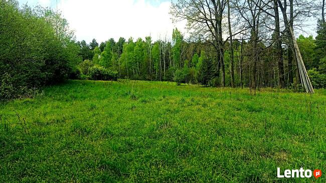 Działka budowlana Krzeszów 38 arów