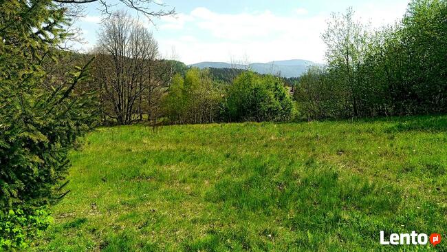 Działka budowlana Krzeszów 38 arów