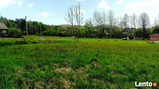 Działka budowlana Krzeszów 38 arów