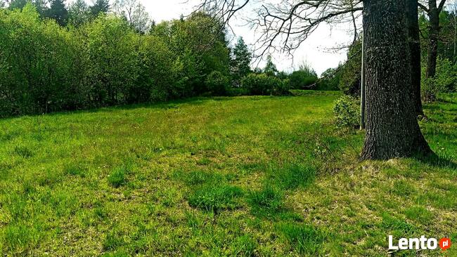 Działka budowlana Krzeszów 38 arów